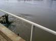 Вода в Клязьме - совсем рядом с мостом
