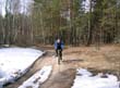 Швед