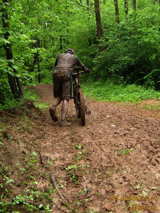  Marzocchi Cup.