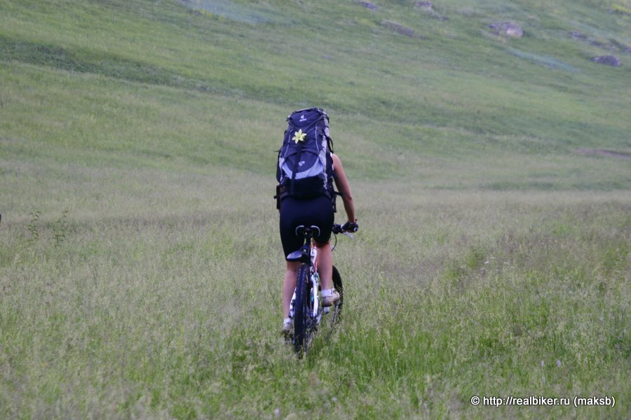    Deuter    ..