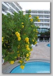  Grecian Bay
