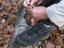     Merrell Chameleon Thermo Mid Waterproof